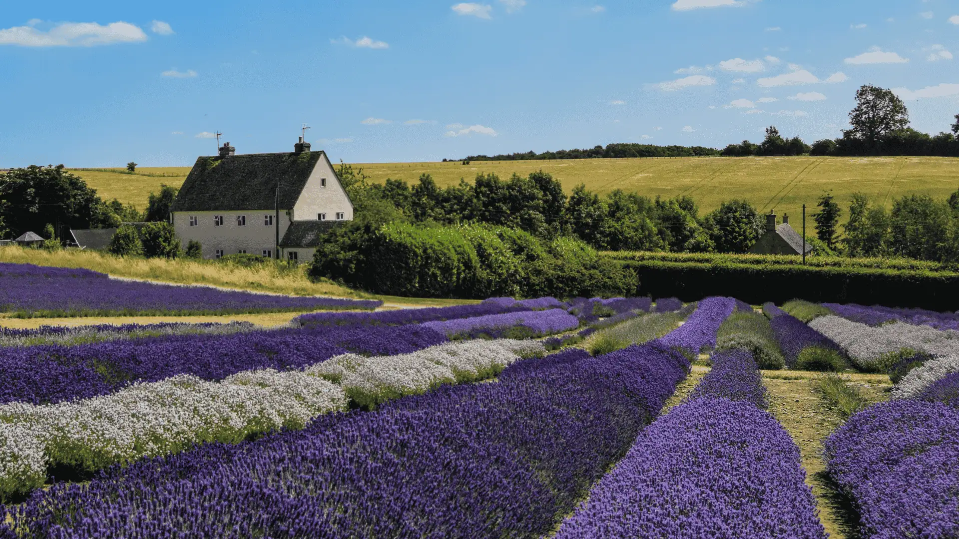 Father’s Day Weekend at Butcombe