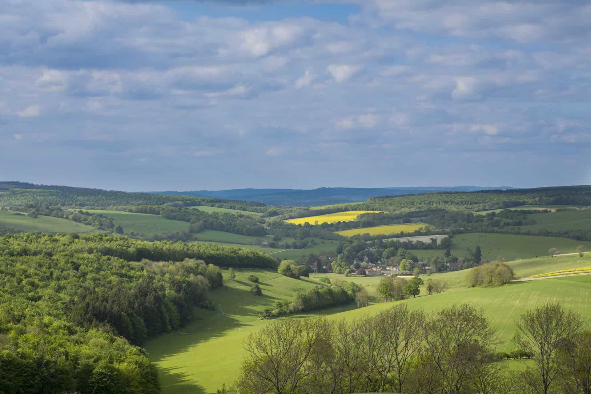 Attractions In Hampshire | Days Out In The New Forest | The Kings Head