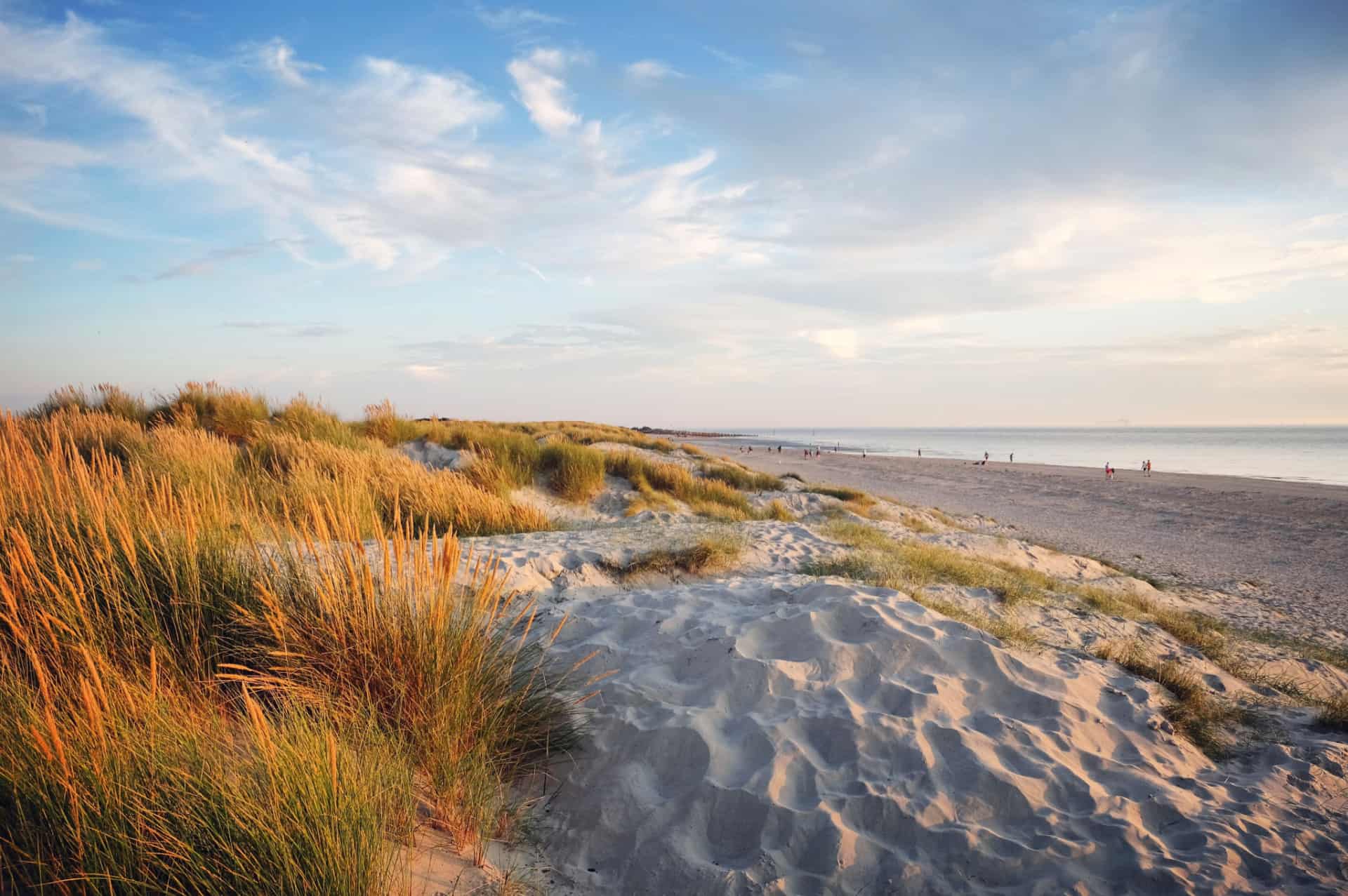 West Wittering Beach | Days Out In West Sussex | The White Horse